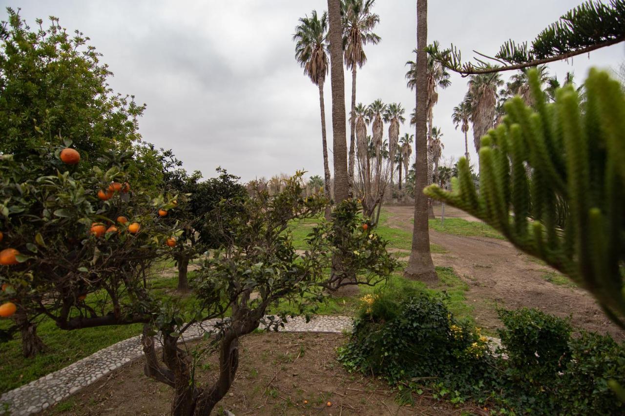 דלטברה Villa Del Riu מראה חיצוני תמונה